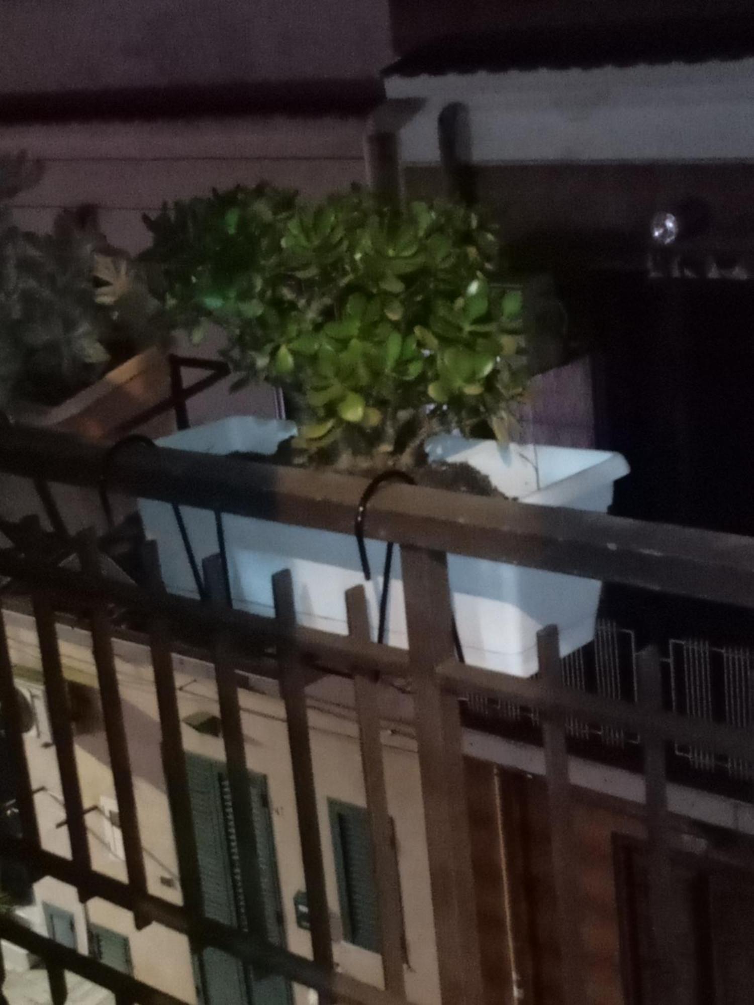Hotel Casa Alice Isola delle Femmine Zewnętrze zdjęcie